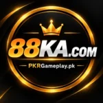 88ka_log