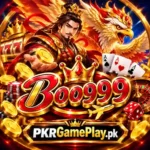 boog999-pkrgameplay-logo-27kb