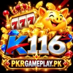 k116-logo-27kb